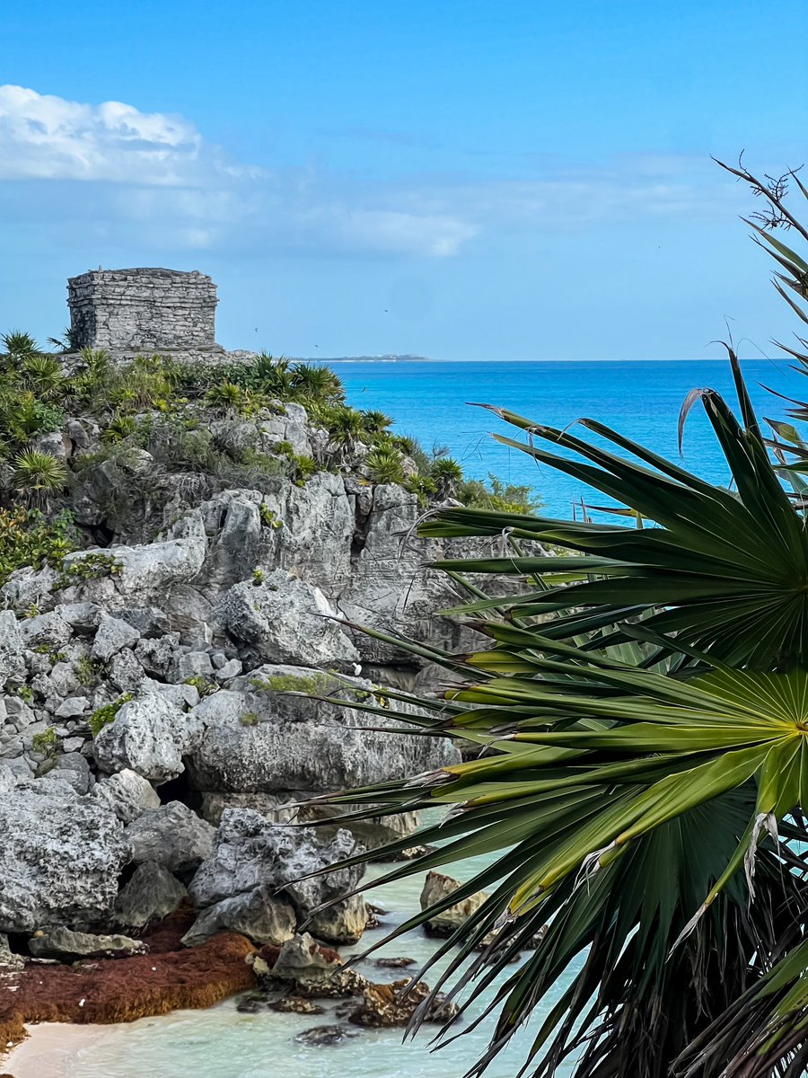 CatStolar's tweet photo. The world is a beautiful place. 🌊 Swim with the fishes every once in a while. 

📸: Tulum, Mexico 🇲🇽 

@tulum_mexico @TravelLeisureMX @MexicoTourismBd 

#mexico #tulum #travel #travelmexico #traveltulum #Yucatan #travelphotos https://t.co/t72FobAWmn