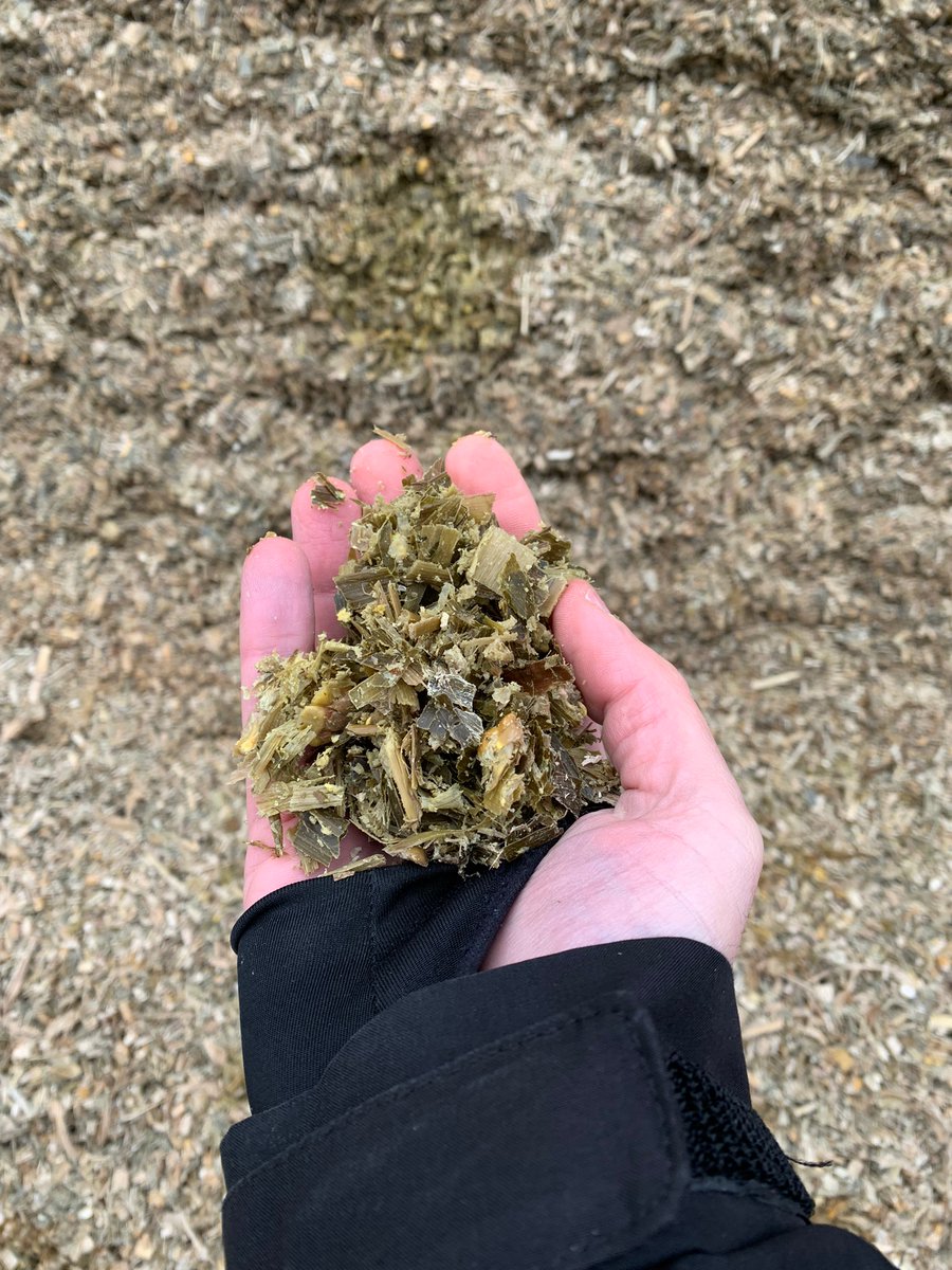 GoldbergNic's tweet image. Visite ce matin avec une équipe de @colombus sur le site de méthanisation de la ferme du lucet. Il faisait froid, mais ça valait le coup !

Merci à @GRDF et au propriétaire du site pour cette visite et les multiples explications techniques sur la production de biométhane agricole