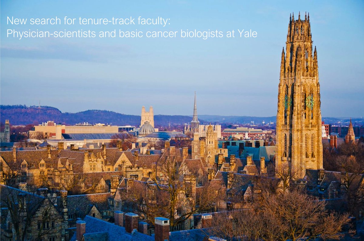 Müschen Lab tweet media