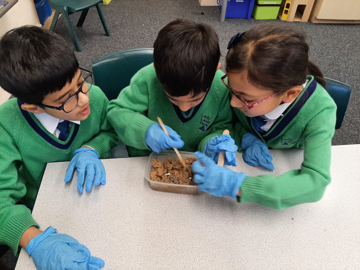 LadyLanePark's tweet photo. Form 2 (Y1) have been learning about dinosaur coprolites and how palaeontologists study them to learn about diet. They then had fun examining 'dinosaur poo' samples to see what clues they could find!@isaschools @Alpha_Schools @TWJSciNat #scienceforchildren #dinosaurs #keystage1 https://t.co/prqs5lUeBC