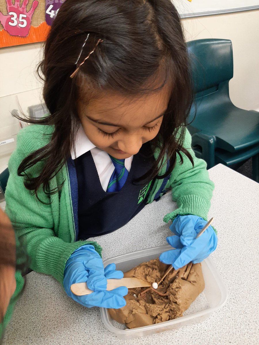LadyLanePark's tweet photo. Form 2 (Y1) have been learning about dinosaur coprolites and how palaeontologists study them to learn about diet. They then had fun examining 'dinosaur poo' samples to see what clues they could find!@isaschools @Alpha_Schools @TWJSciNat #scienceforchildren #dinosaurs #keystage1 https://t.co/prqs5lUeBC