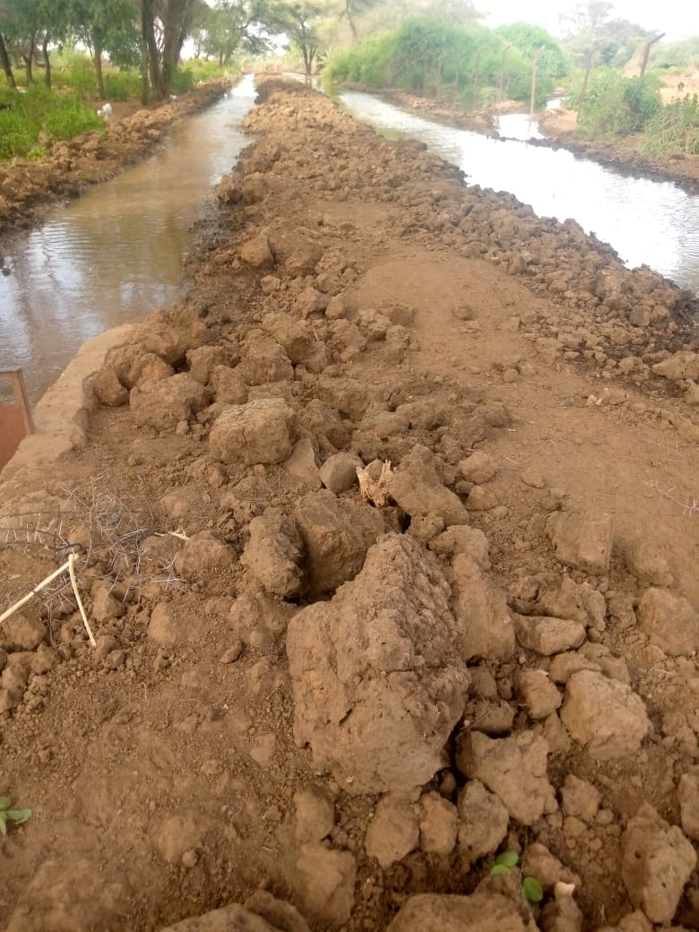 Concern Kenya (@concernkenya) on Twitter photo This is Kangalita irrigation scheme (1500acres) @TurkanacountyKE. Through funding from <a href="/funds4disaster/">Center for Disaster Philanthropy</a>, <a href="/ConcernKenya/">Concern Kenya</a> facilitated canal desilting, and creation of sub- canals through cash for work and provision of input in partnership with Turkana County Government. #drought This is Kangalita irrigation scheme (1500acres) @TurkanacountyKE. Through funding from <a href="/funds4disaster/">Center for Disaster Philanthropy</a>, <a href="/ConcernKenya/">Concern Kenya</a> facilitated canal desilting, and creation of sub- canals through cash for work and provision of input in partnership with Turkana County Government. #drought