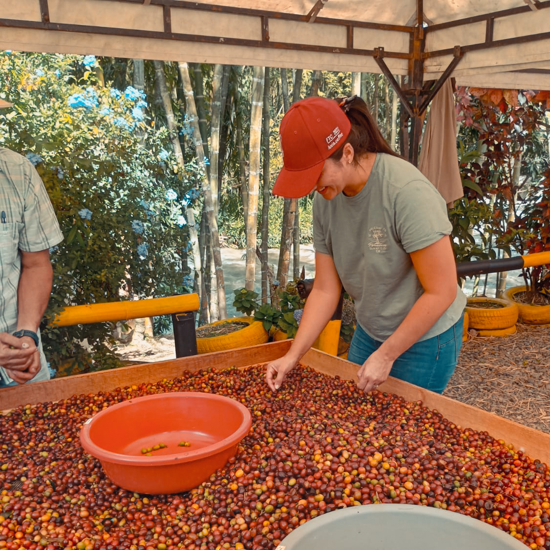 TheCenterCoffee's tweet photo. Last week producer Alejandra Angel attended Lucia Solis' fermentation camp and rumor has it that she had a great time!
#learnsmart #coffeeeducation #coffeegram #coffeefacts #dailycoffeenews #elarning #specialtycoffee #coffeecourses #specialitycoffee https://t.co/WywIDLJuKz
