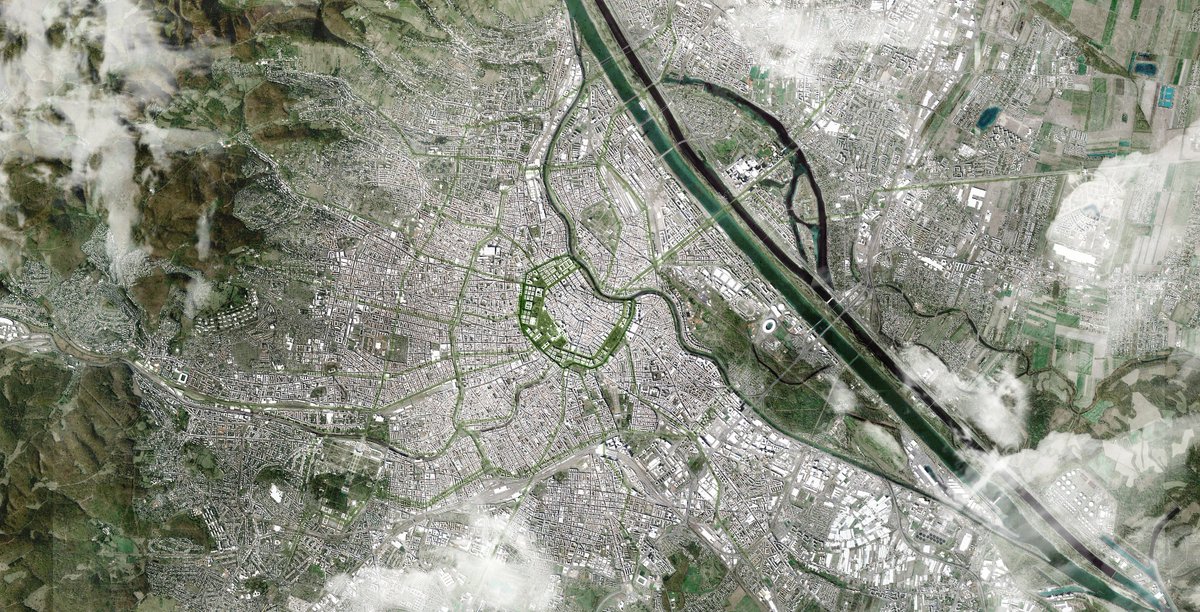 bauchplan ).( tweet media