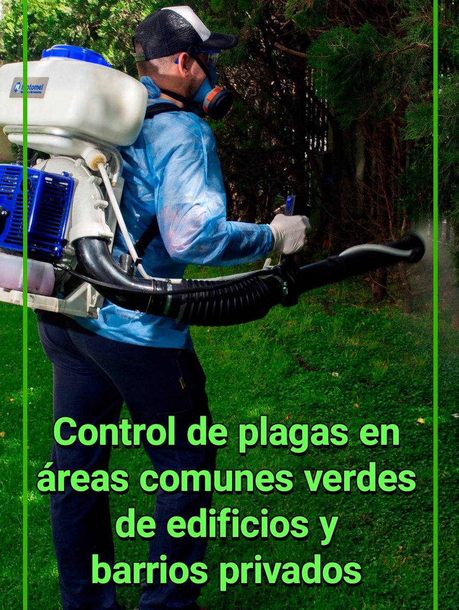 MiguelFumi's tweet image. ¡Disfruta del verano sin mosquitos!

Comunicate con nosotros. ¡Estamos para ayudarte!
🟢 WhatsApp 11 4993 2051
📱 Celular 11 4993 2052
☎️ Telefono 11 4912 0366

#Plagas #PlagasUrbanas #Consorcios #hogares #Fumigacion #Fumigaciones  #Mosquitos #cucarachas #ControlDePlagas #insecto