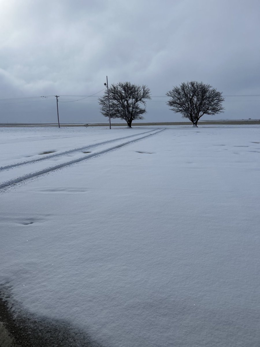 Prentice Fred tweet media