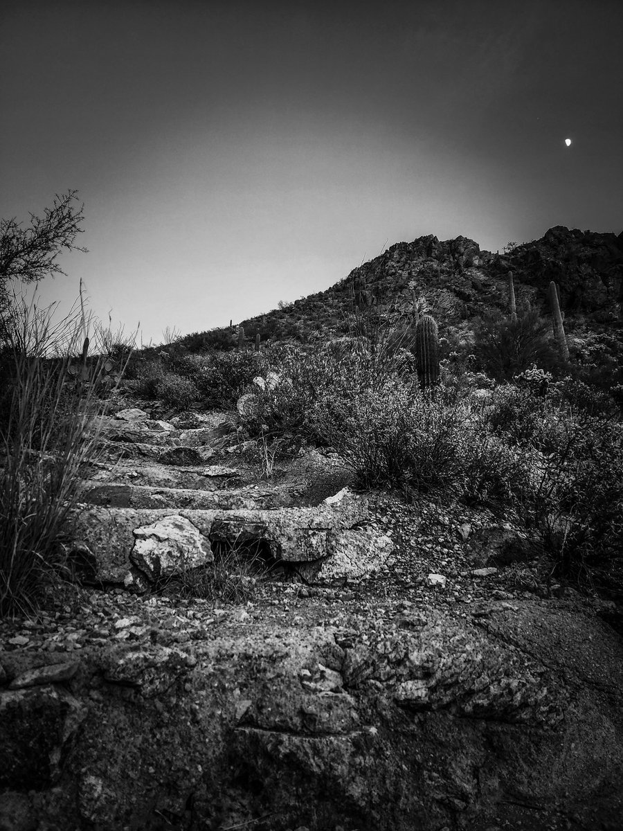 AZsolNft's tweet photo. A fun hike, looks a bit lonely though. #nfts #photography #PhotographyIsArt #AZSolArt #TagginAlong #comingsoonish https://t.co/7TJUokFslv