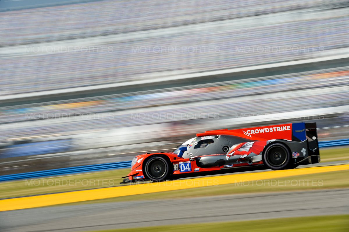 Some of my favorites from The Roar 🦁