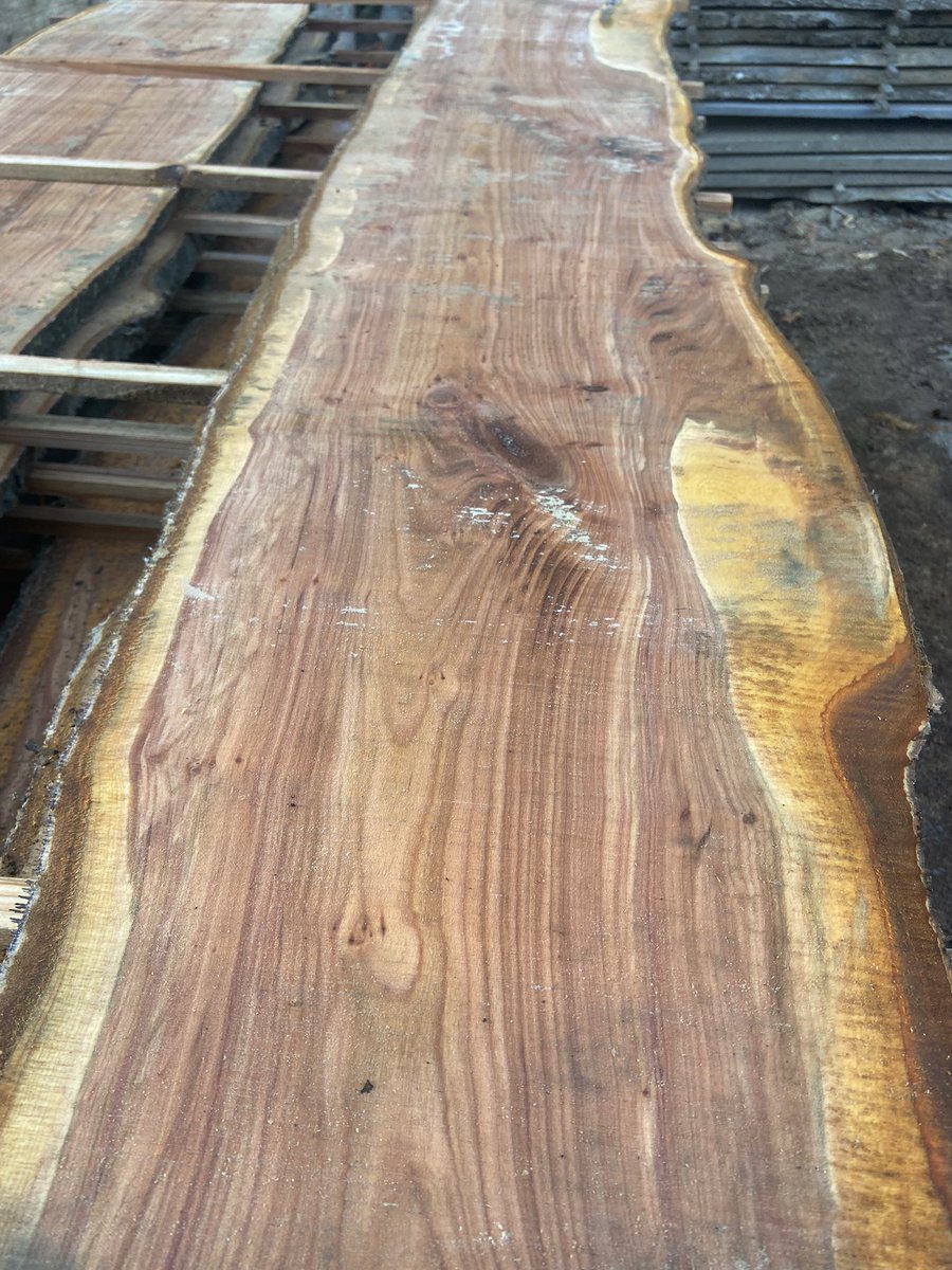 WenTimberCentre's tweet photo. Our little Cherry, showing some Cherry logs before and after milling ππ. These boards will be ready next year so keep an eye out for them then #cherry #sausagedog #sausagedogsofinstagram #sawmill #localtimber #readynextyear https://t.co/TvxR0fbCAg