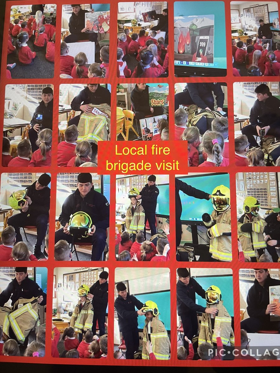 Pengam Year 2 tweet media