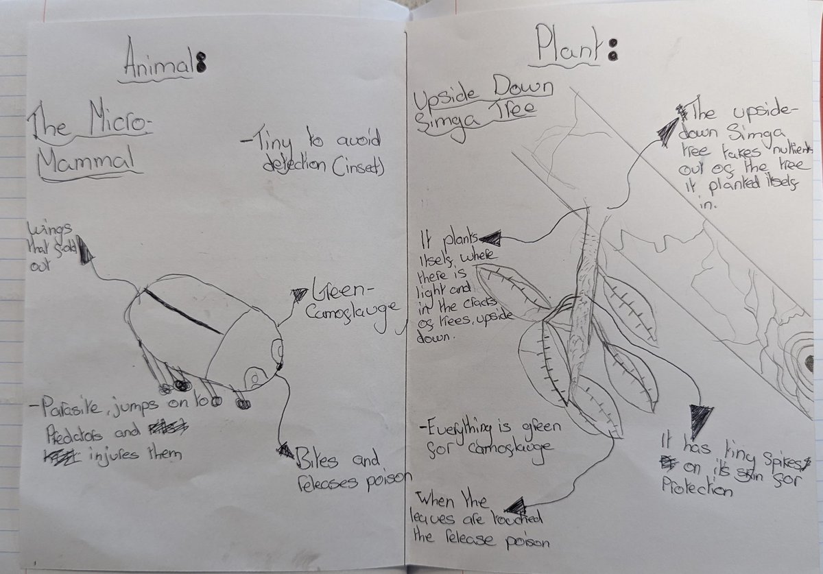 Notesofageogte1's tweet photo. Finished the day designing rainforest flora and fauna with Year 7 🌿🐜🦎 https://t.co/kIDuew8Smp