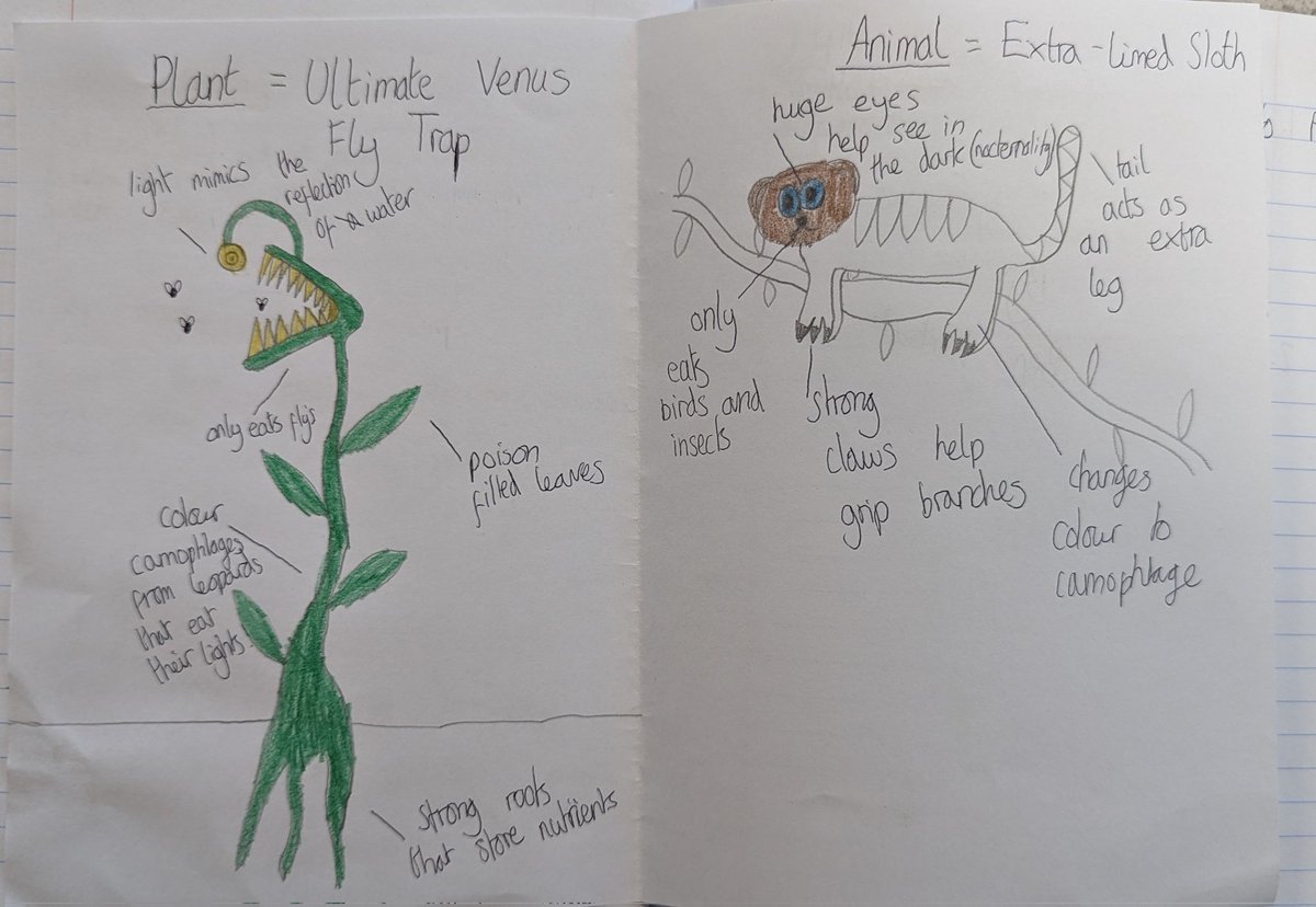 Finished the day designing rainforest flora and fauna with Year 7 🌿🐜🦎