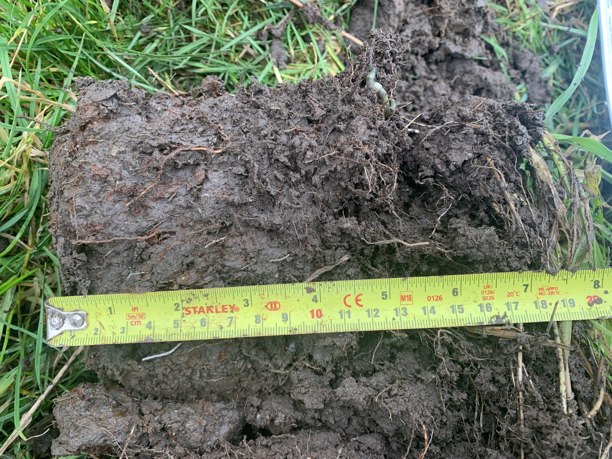 UplandEip's tweet image. VESS testing to analysis the soil structure and the depth of the multi species sward and red clover roots #inishowenuplandseip #dafm #EIPagri