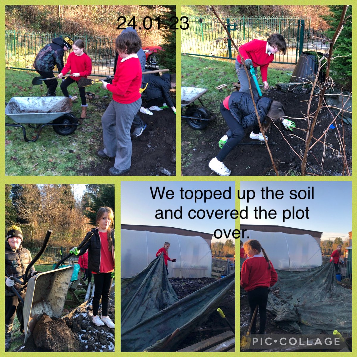 LiaGriffiths's tweet photo. @PengamYear5 @PengamYear6  a very cold but productive Gardening Club. 🥶😊  We covered over the outside plot and cleared the polytunnel, we are looking forward to planting some seeds next week 🥔🥕🥦                    Da iawn pawb  @EcoSchools_TW @_OLW_ https://t.co/xHqeMg92T9