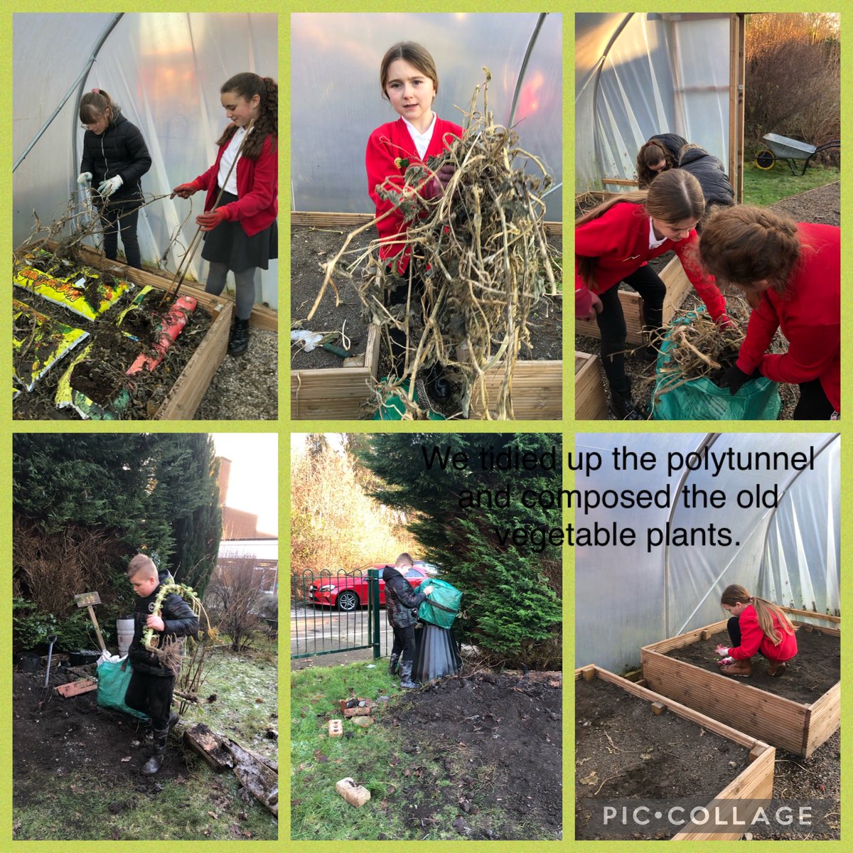 LiaGriffiths's tweet photo. @PengamYear5 @PengamYear6  a very cold but productive Gardening Club. 🥶😊  We covered over the outside plot and cleared the polytunnel, we are looking forward to planting some seeds next week 🥔🥕🥦                    Da iawn pawb  @EcoSchools_TW @_OLW_ https://t.co/xHqeMg92T9