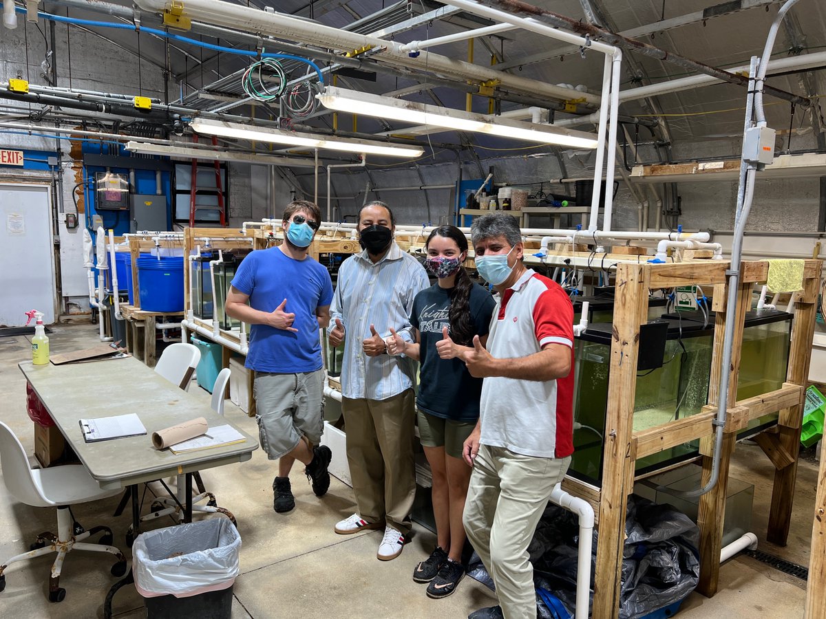 #DYK we do all of our shrimp and #aquaculture work at the Harbor Branch Ocean Institute <a href="/FloridaAtlantic/">Florida Atlantic University</a>? 

Like crops, many shrimp are lost disease and we're working with the shrimp #microbiome to better protect this important #food source.🦐🦠