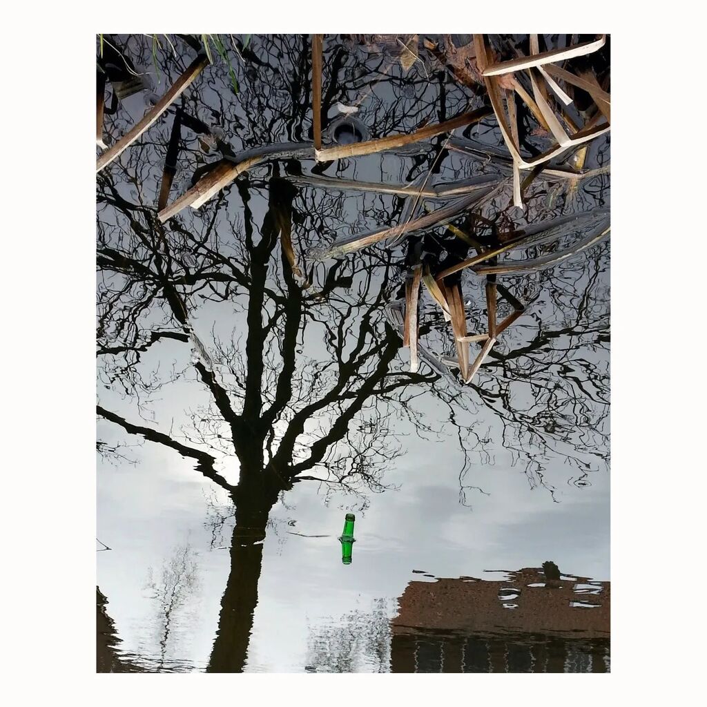 heijnisschipper's tweet image. Green bottle 
.
.
#greenbottle #treereflection #tree #refection #bottle instagr.am/p/CnzcWfSqVbz/