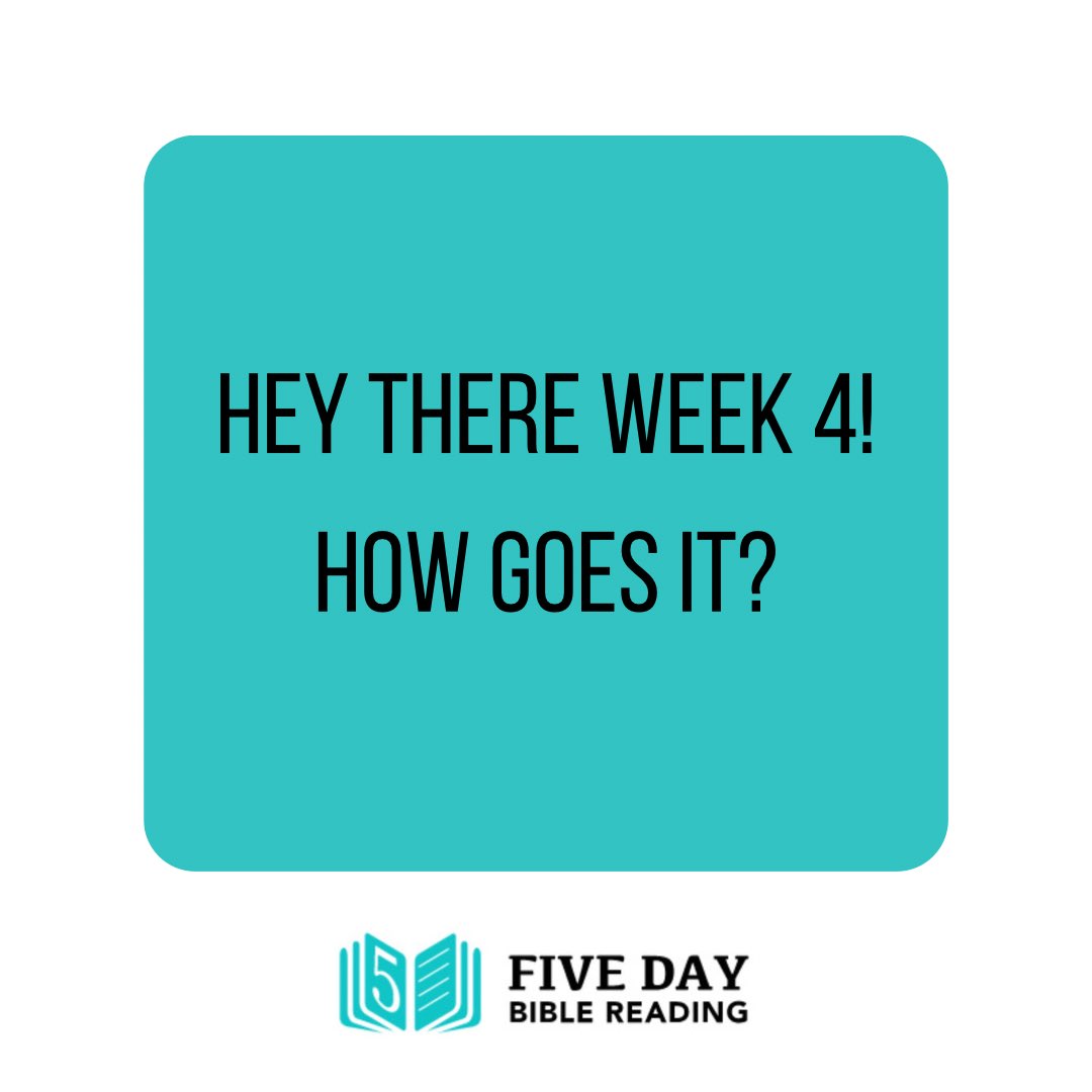 We are nearly a month in! Don’t forget to read today! #5daybiblereadingplan #biblereading #dailybiblereading #bible #biblejournaling #bibleverse #dailybible #dailybiblestudy