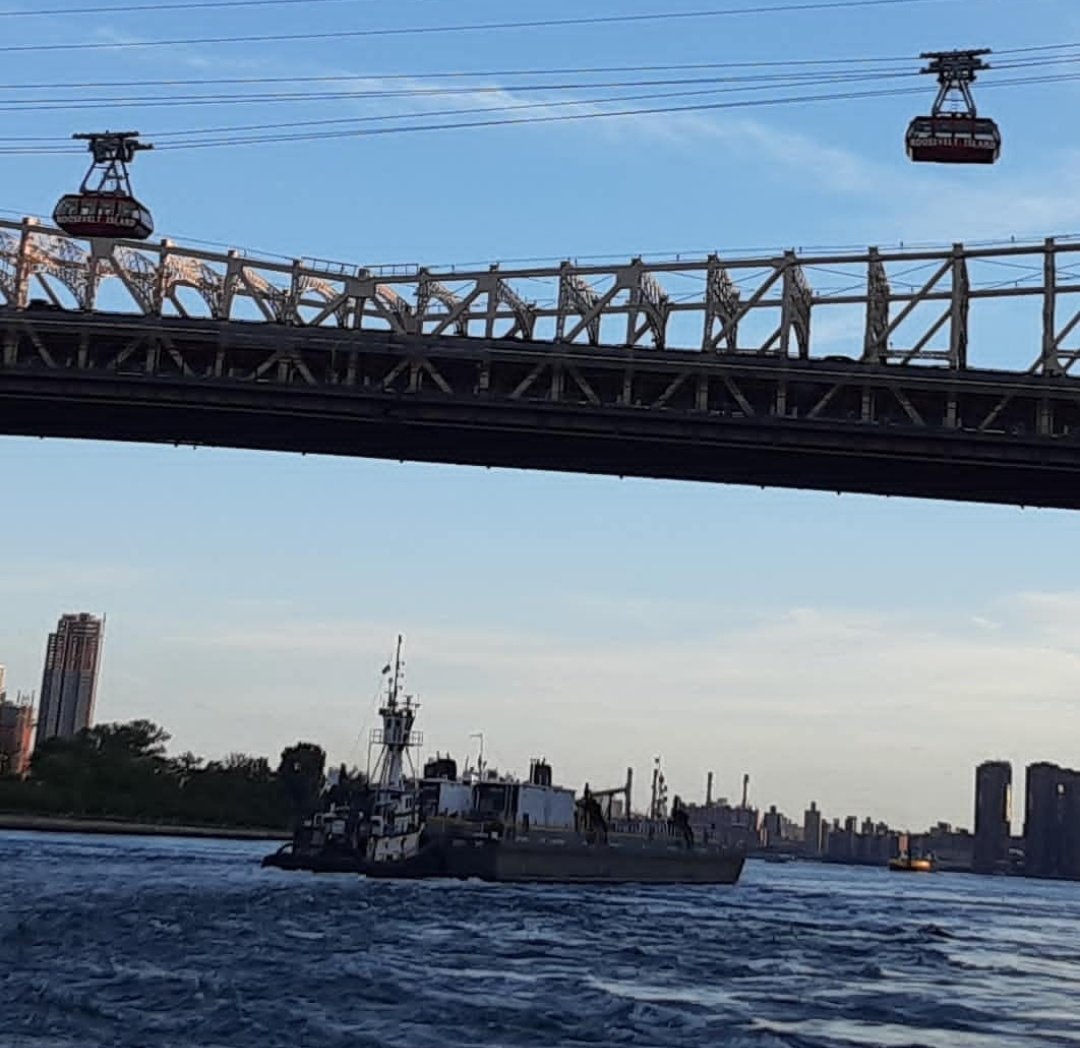 MOM🇺🇸 tweet media