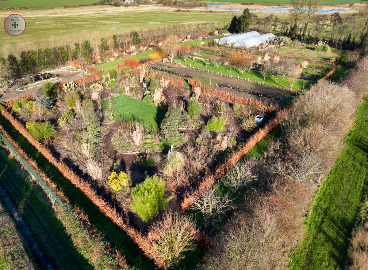 Always a pleasure to visit The Land (an ambitious project of <a href="/LouDowle/">Louise Dowle</a> &amp; <a href="/stevenedney4/">Steven Edney</a> ) and charting their fantastic work. 
#garden #gardendesign #horticulture #longborder #agriculture #plantlover #drone #VirtualTours