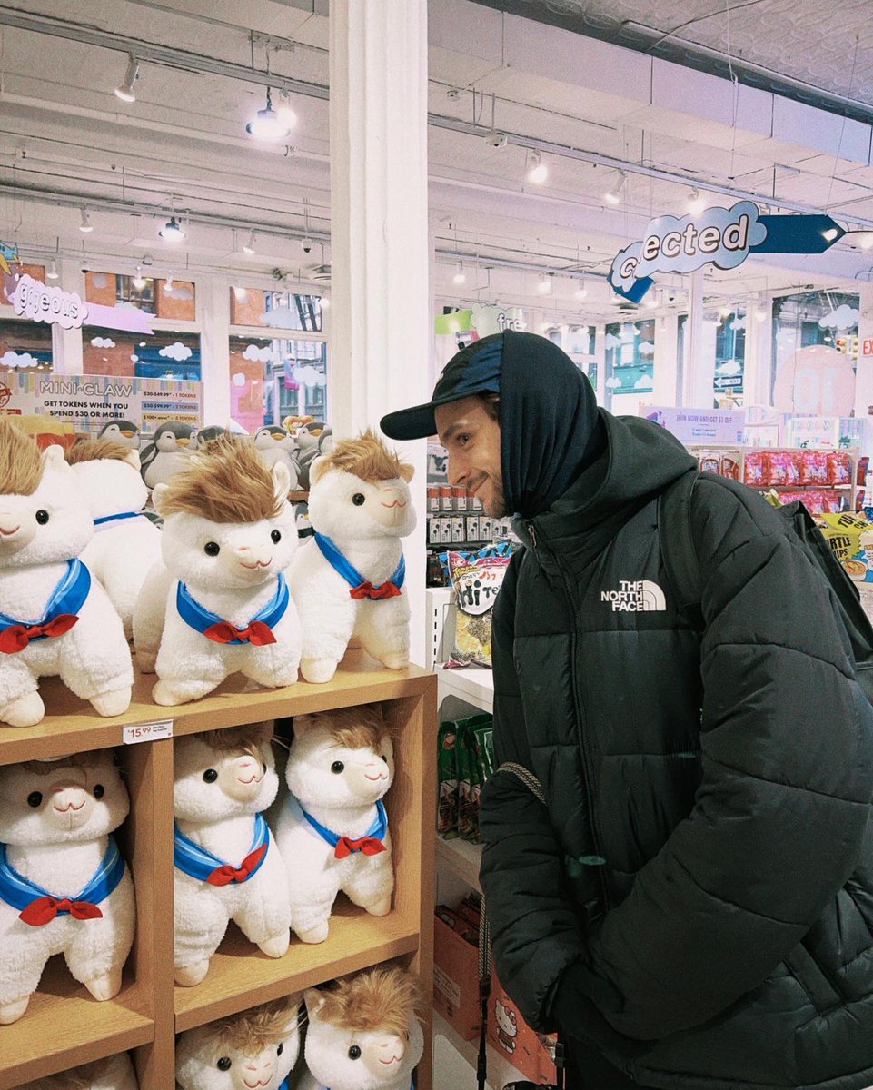 yo en Nueva York me hago fotos con alpacas de peluche, así soy