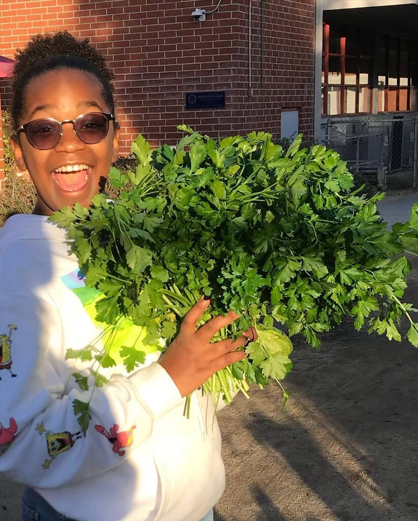 PV School Gardens tweet media