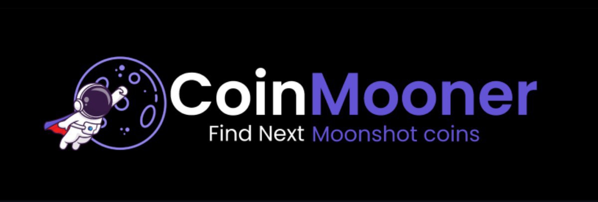 Network Capital tweet media