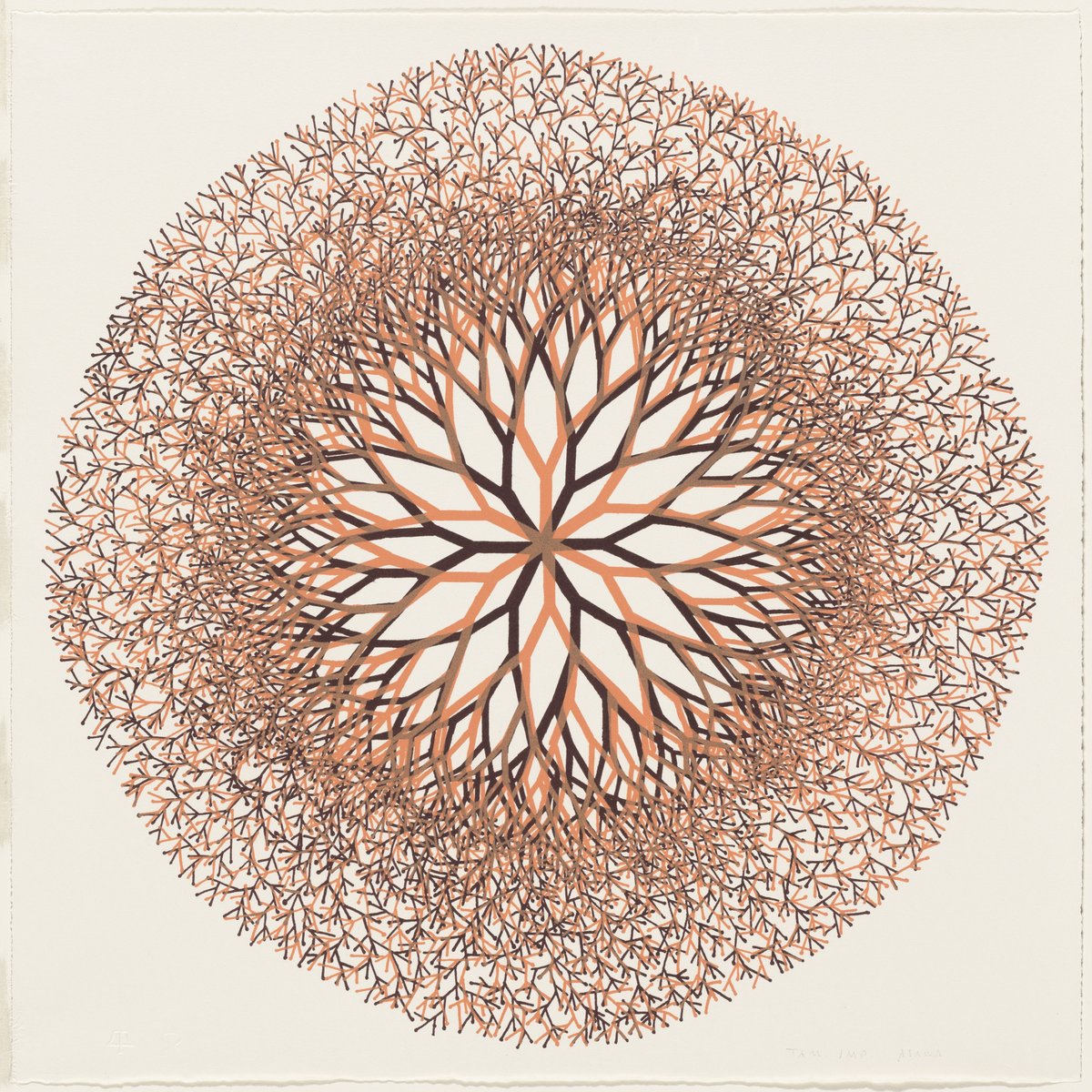 'Ruth Aiko Asawa (January 24, 1926 – August 5, 2013) was an American modernist sculptor. Her work is featured in collections at the Solomon R. Guggenheim Museum and the Whitney Museum of American Art in New York City.'

#ruthasawa #sculpture #arthistory #modernism