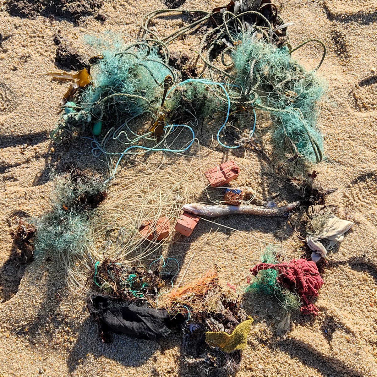 Today was a sad fieldwork day. In just about 10min, we collected all this trash from fishing activities!
Irresponsible and illegal fishing can have dire effects on #OurOcean😢

#TiredEarth #PlasticPollution #GhostNets #GhostFishing #IllegalFishing