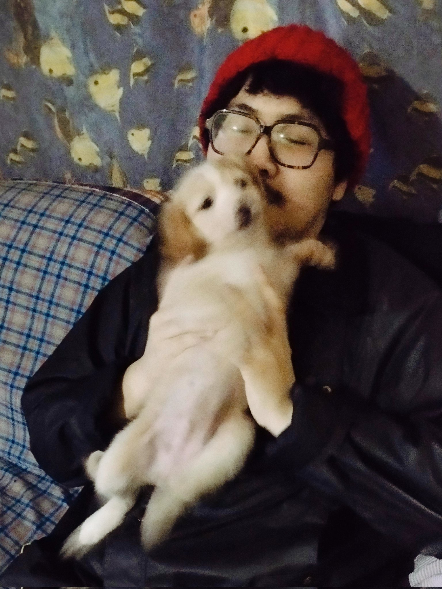 HIRO on Twitter "Never got to hug a puppy before. Very cute, even when she tried to eat my