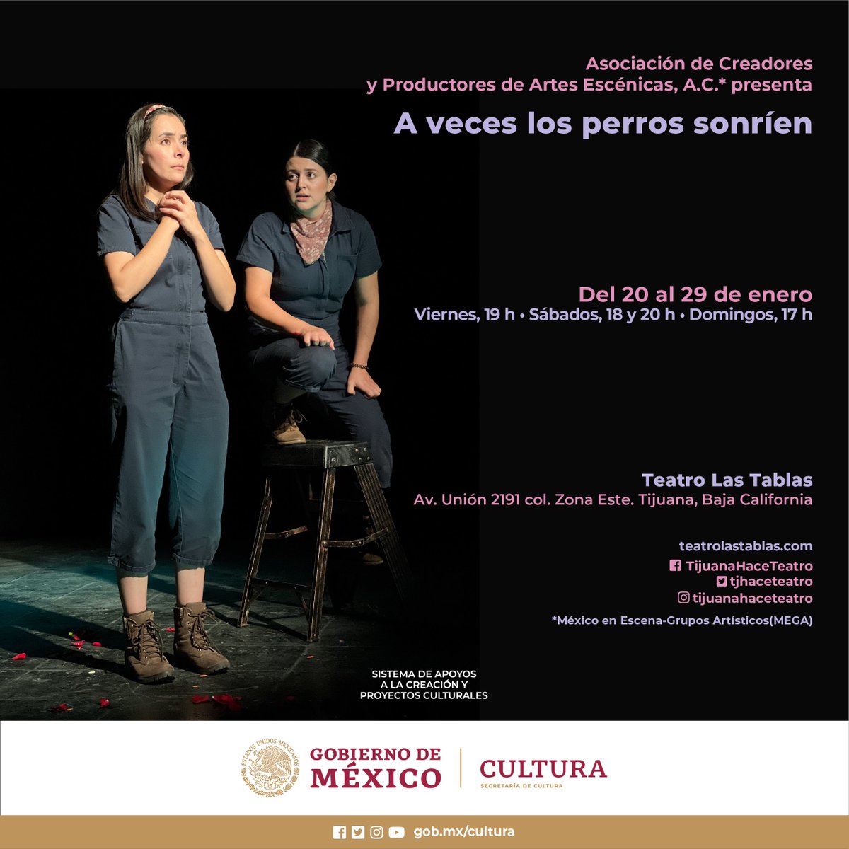 🎭“A veces los perros sonríen” cuenta historias paralelas que conectadas en el tiempo: Lola y Sylvie habitan épocas distintas, pero un lazo las une. Disfruta esta obra de <a href="/TjHaceTeatro/">Tijuana Hace Teatro</a> dirigida al público joven.

📍<a href="/LasTablasTeatro/">Teatro Las Tablas</a>, #Tijuana
🎟bit.ly/3QGKAiY
<a href="/cultura_mx/">Secretaría de Cultura</a>