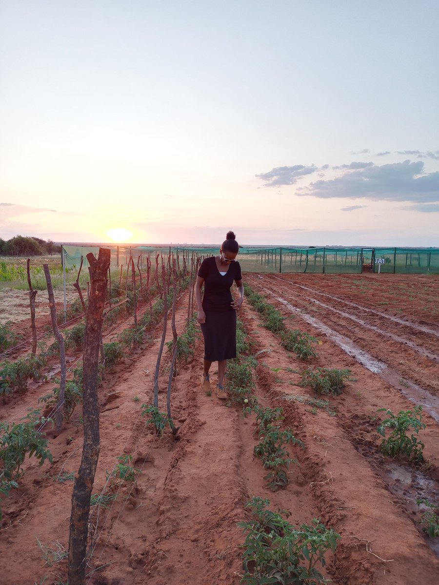 jane_tshimofarm's tweet image. Ke kopile Kgotla e ntsee jaaka kentse today😳 Ha ke rate tuku, e nkopisa thlogo ene go mogote. Hae le shawl yone go bela yana🙅🏾‍♀️ Are bueng ka gore reya kae, yang re le motse 🤷🏾‍♀️. Nna setse ke iira se ke tshwanetseng So ha ke tle go ikgotetsa🤦🏽‍♀️Daramo ke tla apara mosese🥰 #Kgotla?