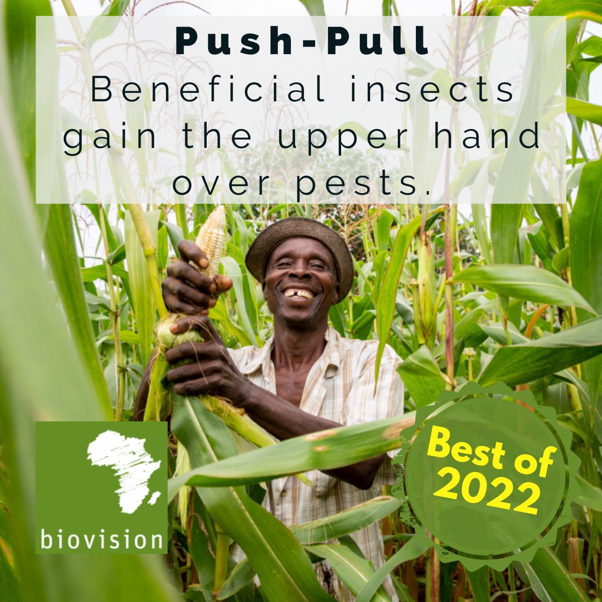 biovision_org's tweet photo. Over the past 20 years, Biovision +its partner organisation @ICIPE have ensured the livelihoods of many thousands of smallholder farmers thanks 2Push-Pull.👏 
Find out how Push-Pull works!🦟🌽🪳🌿 
👉https://t.co/nHIa9ZUl4Z
#BestOf2022 #EditorsChoice #AgroecologyWorks https://t.co/2tKCv5j5dP