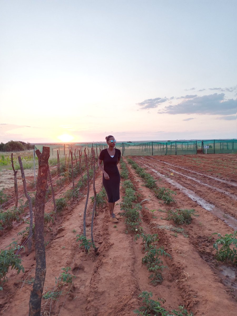 jane_tshimofarm's tweet image. Ke kopile Kgotla e ntsee jaaka kentse today😳 Ha ke rate tuku, e nkopisa thlogo ene go mogote. Hae le shawl yone go bela yana🙅🏾‍♀️ Are bueng ka gore reya kae, yang re le motse 🤷🏾‍♀️. Nna setse ke iira se ke tshwanetseng So ha ke tle go ikgotetsa🤦🏽‍♀️Daramo ke tla apara mosese🥰 #Kgotla?