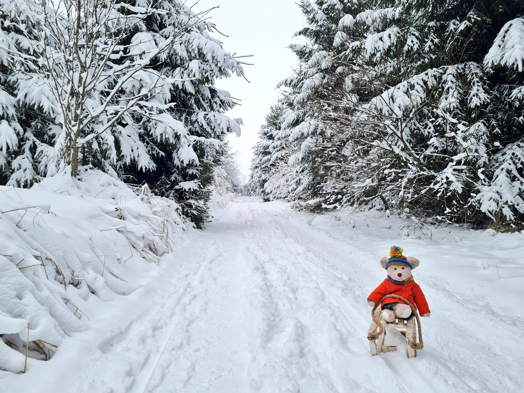 No one around on my #winterwalk and #sledgeride #bergischesland