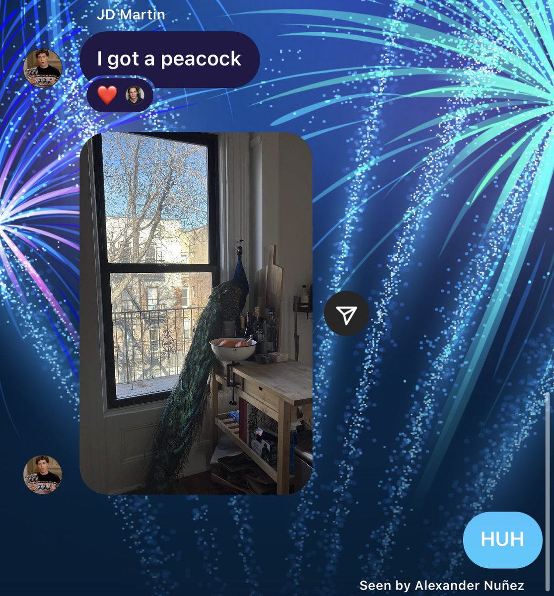 New York City things..