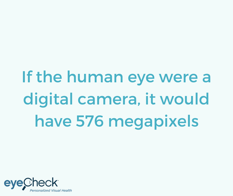 Eyecheck tweet media