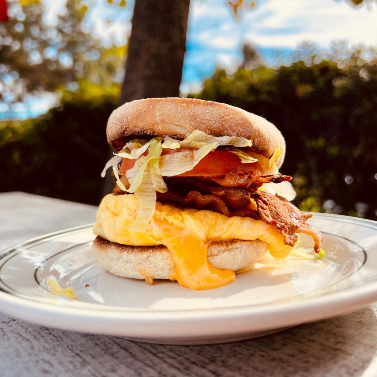 BudsCafe's tweet photo. Join us for breakfast at Bud's!

https://t.co/u6Fd4qtOs7
https://t.co/2HTJaBG99o https://t.co/VJWnxSX93N