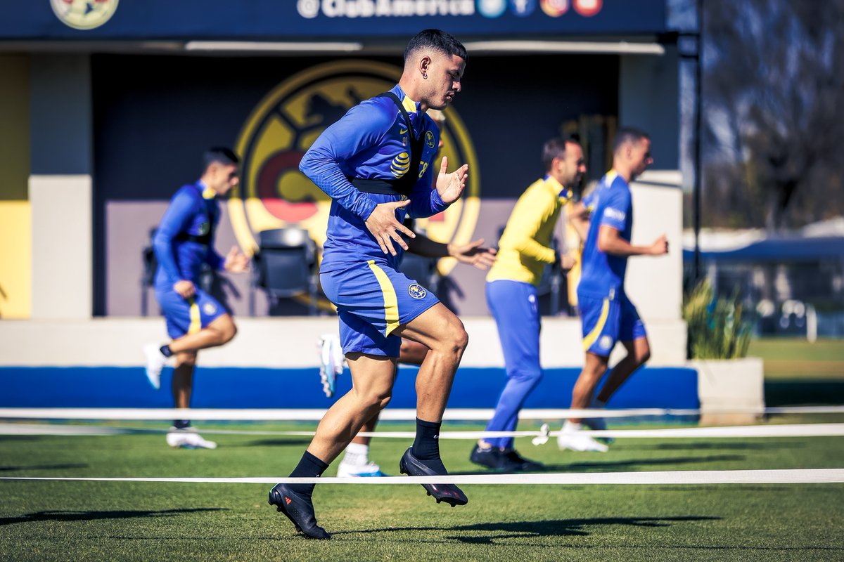 📸 | Nido de Coapa 📍🦅