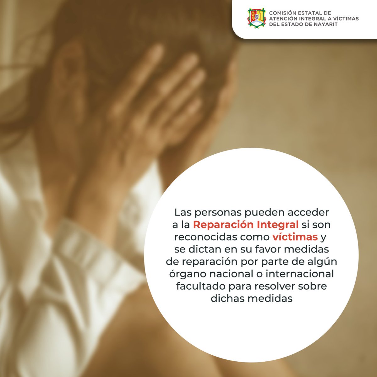 ComisionEstatal's tweet photo. 🔴Las víctimas tienen derecho a ser reparadas de manera oportuna, plena, diferenciada, transformadora, integral y efectiva por el daño que han sufrido como consecuencia del hecho punible que las ha afectado o de las violaciones de derechos humanos que han sufrido... https://t.co/79SWwsgZa7