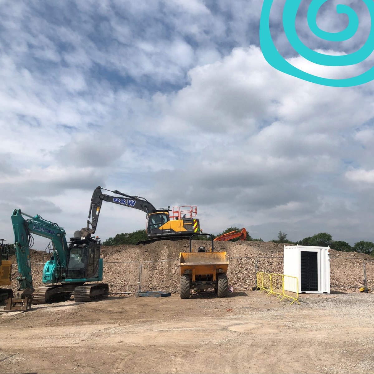 Seashell tweet media