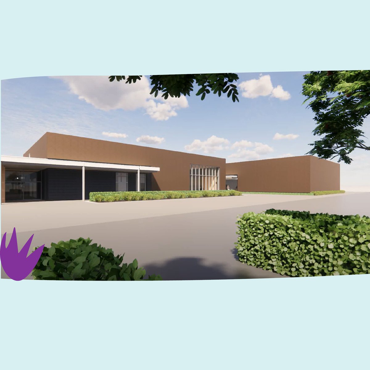 Seashell tweet media