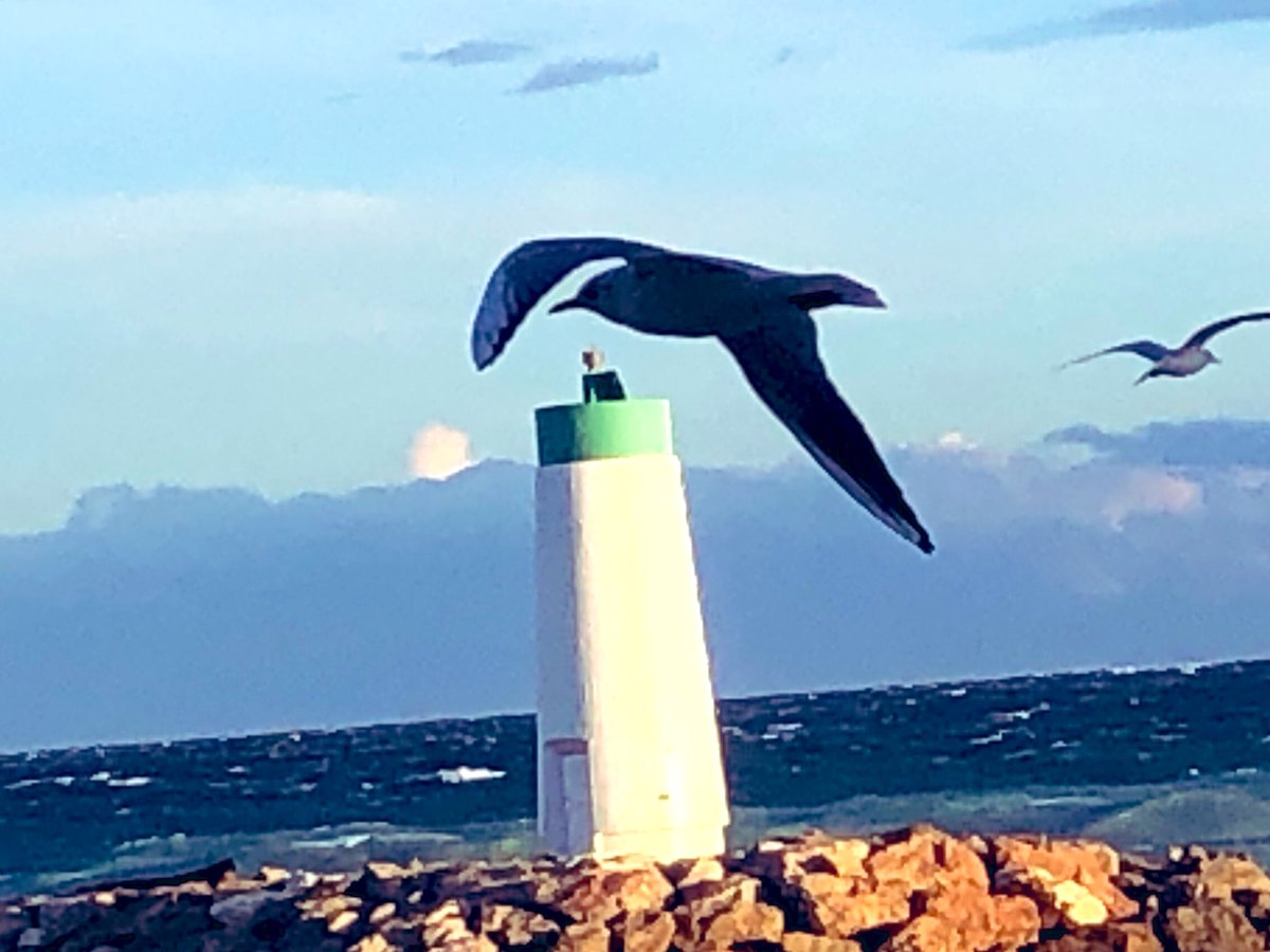 zeLaure_'s tweet image. E n #Lumière 
T eintée d’un #Blanc ✨#Pur 
R ayonnant 
E n #Pulsion ✨#Électronique 

D e l’#Amour de la ✨#Crèation 
I nspirant #Harmonie ✨et #Perfection 
V olonté #Divine 
I mmaculée de ✨#Beauté #Éternelle 
N ageant ✨#TripleFlamme 
📷✨
#Univers #PlanDivin #Ascension #Love