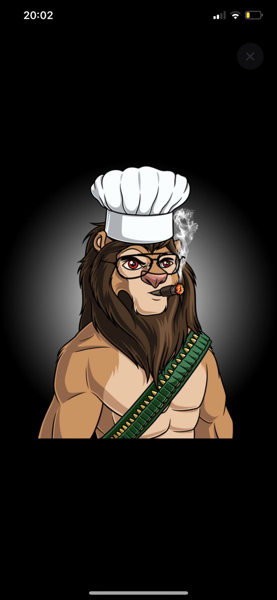 AmirSimon01's tweet photo. We’re back and ready for war! Anyone from the first days still here? Let’s 🦁 roar!! https://t.co/C1HROMXhKV