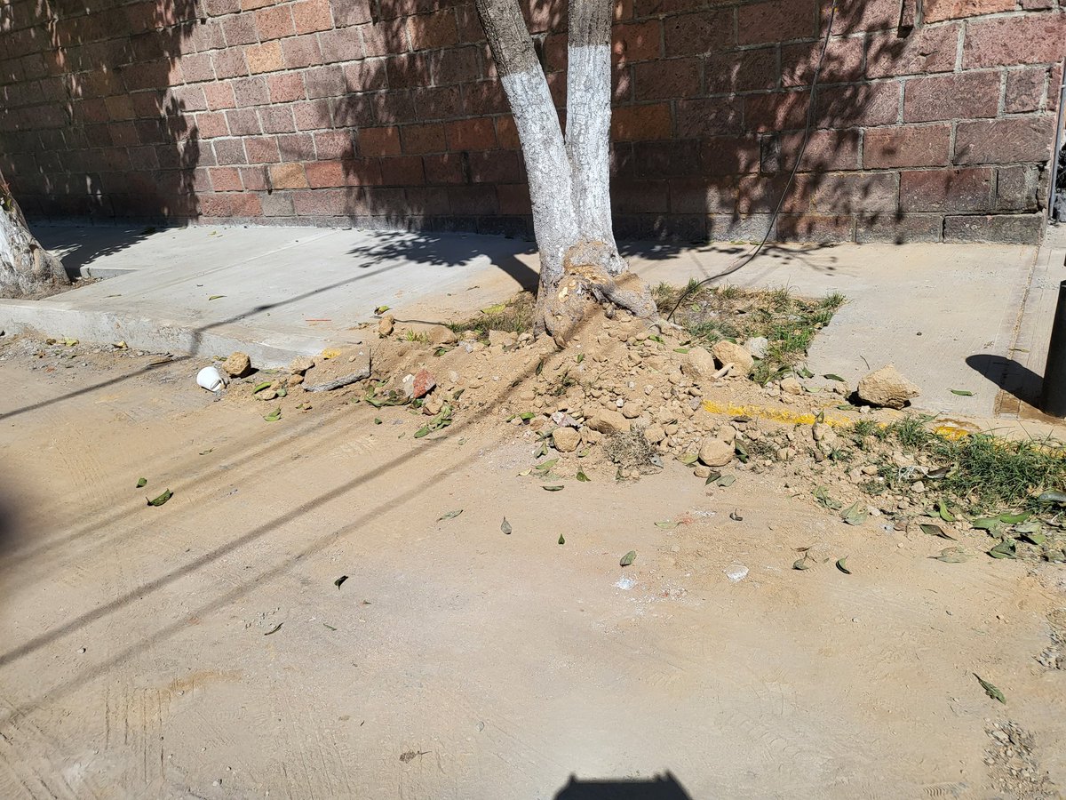 blanmar61's tweet photo. Alc @evelyn_parraA hicieron obras en las banquetas por parte de la @A_VCarranza en el retorno 36 de Genaro García, quitaron las coladeras y ya no las vinieron a poner, al igual que los montones de tierra qué siguen aquí. Por favor solicito su apoyo para que vengan terminar. https://t.co/IB2DjzVnRy