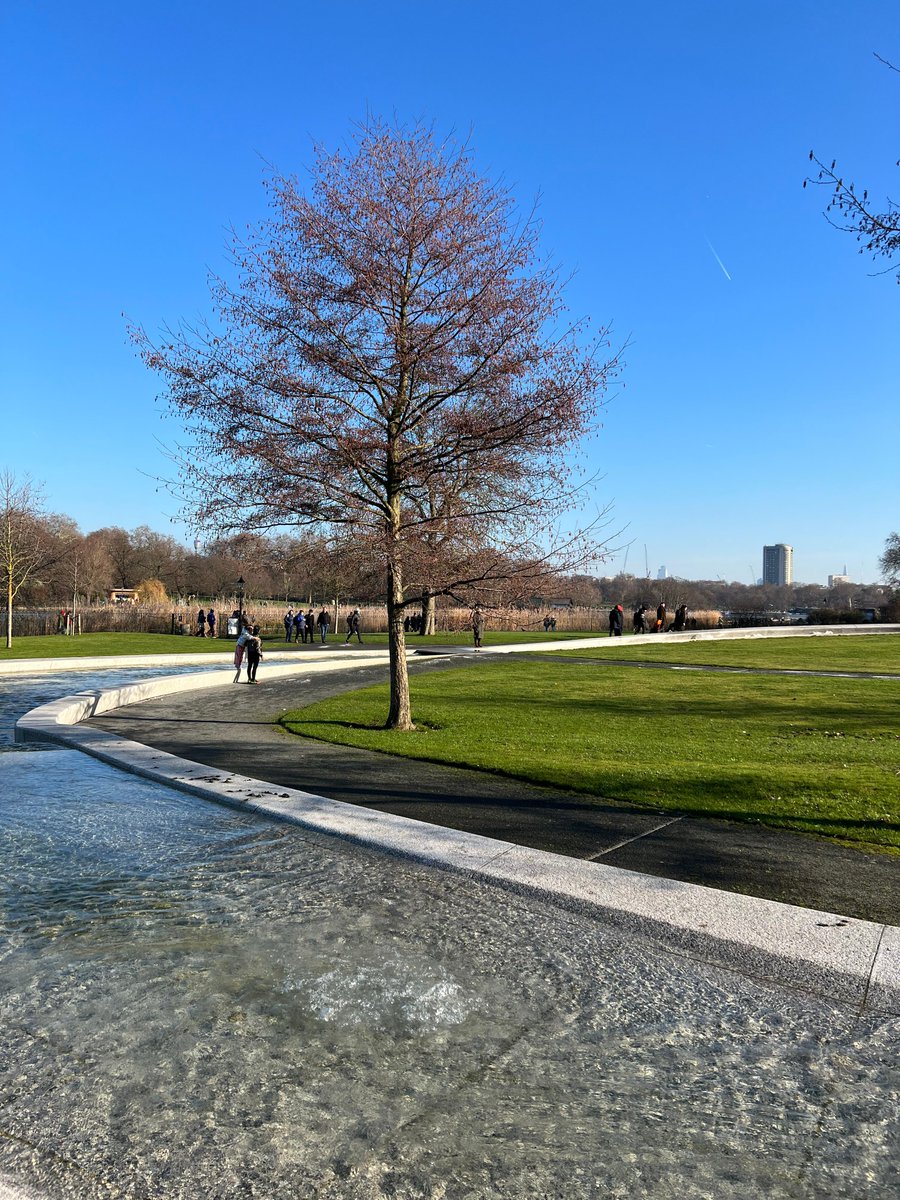 NotaBeneGlobal's tweet photo. Clear blue skies and winter sunshine on a perfect weekend in London’s Hyde Park.
#WeKnowWhere https://t.co/hXfvwV6pSw