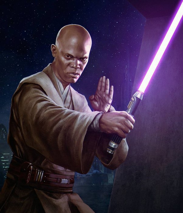 Darth Thunder ⚡ on Twitter "If Mace Windu survived order 66 where