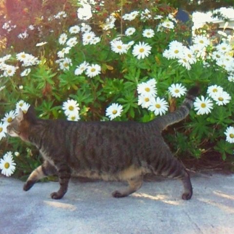 £(ぽんど) tweet media