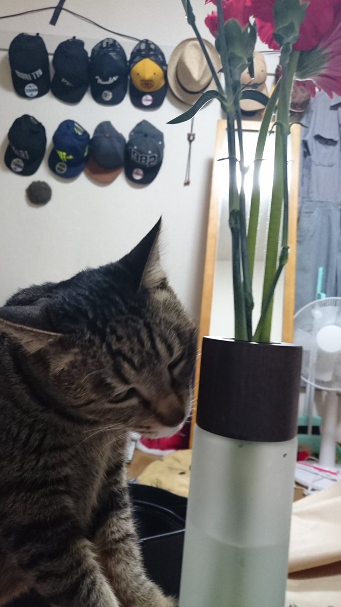 £(ぽんど) tweet media