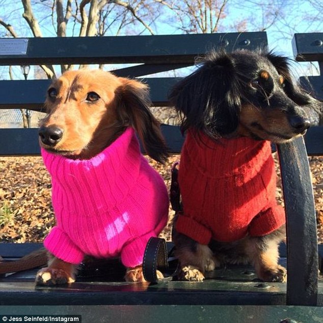 Nelson Mark (@nelsonm37474103) on Twitter photo 